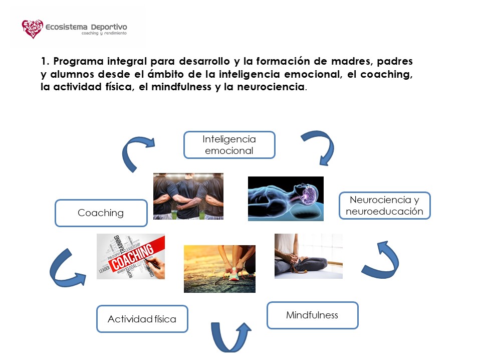 Coaching en San Sebastián.gestion de las emociones y el estrés
